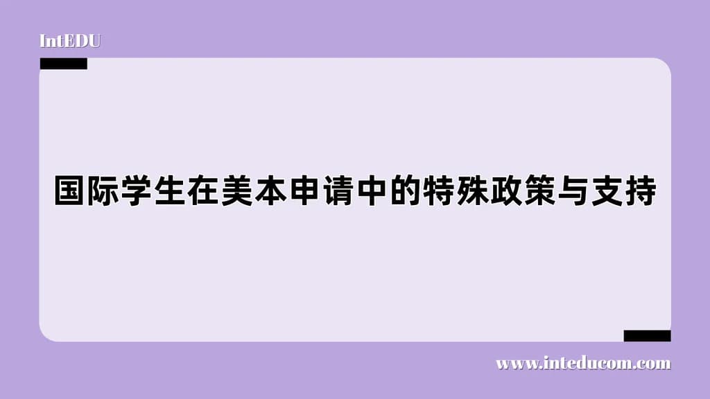 国际学生在美本申请中的特殊政策与支持 - 图片 1