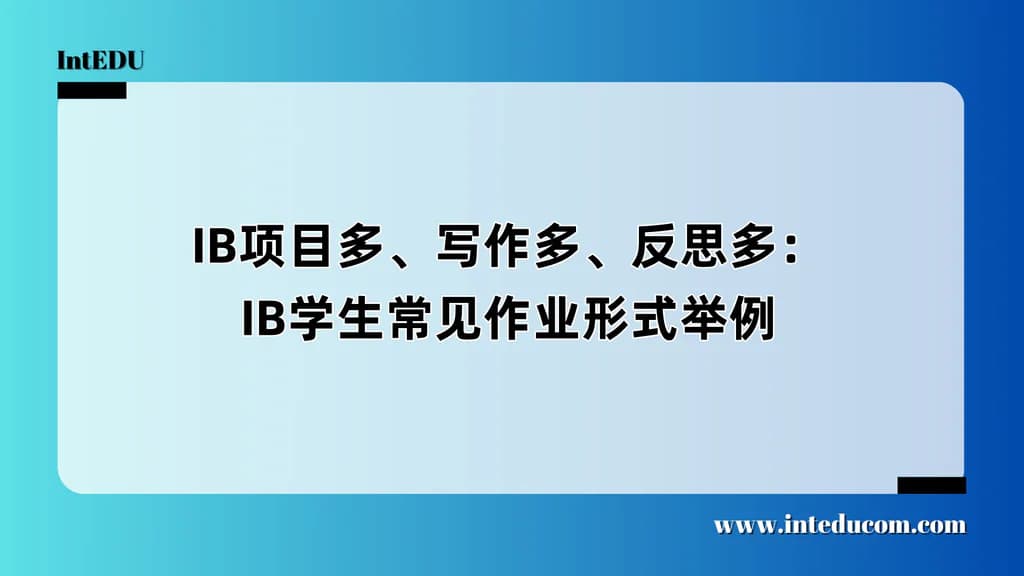 IB项目多、写作多、反思多：IB学生常见作业形式举例 - 图片 1